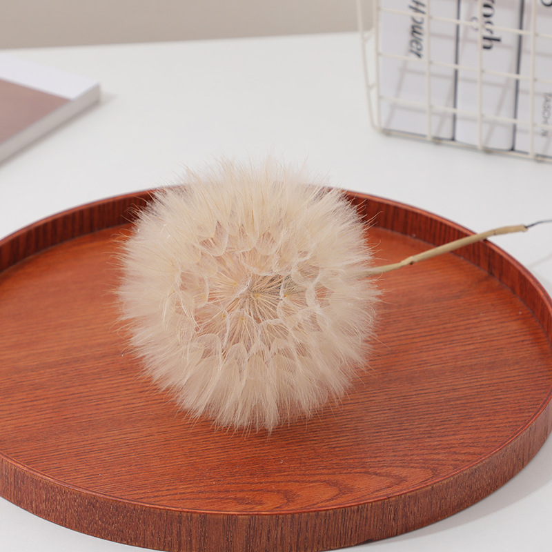 Preserved Dandelion DIY Epoxy  - Resin Crafts Diy ulasan dan harga
