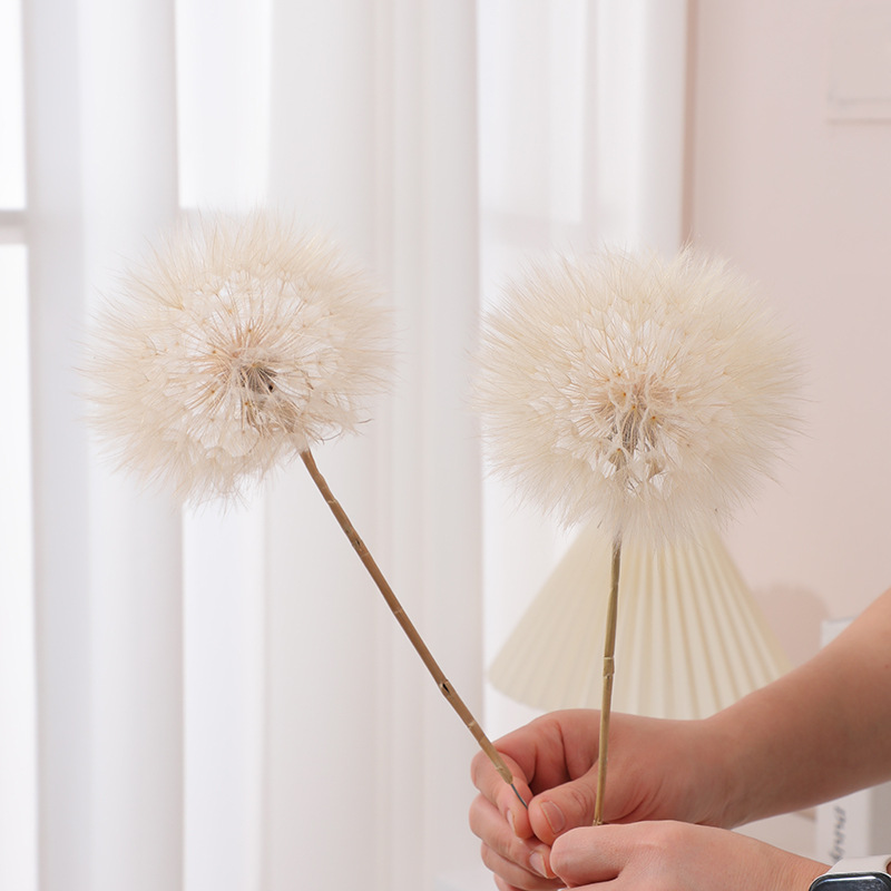Preserved Dandelion DIY Epoxy  - Resin Crafts Diy ulasan dan harga