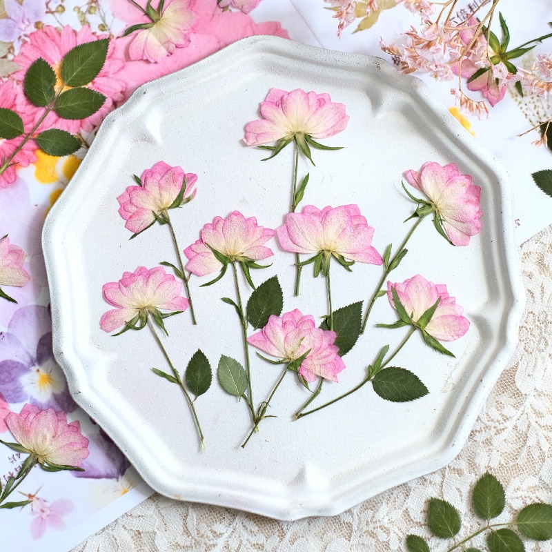 12pcs,Real Dried Pressed Flowe - Resin Craft Ideas ulasan dan harga