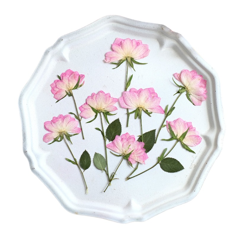 12pcs,Real Dried Pressed Flowe - Resin Craft Ideas ulasan dan harga